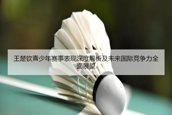 王楚钦青少年赛事表现深度解析及未来国际竞争力全面展望